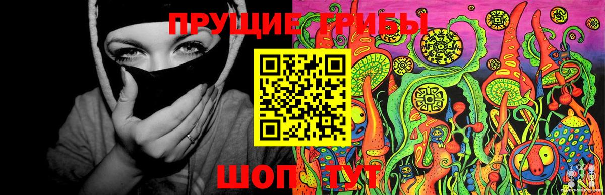 Верхний Уфалей  Псилоцибиновые грибы Psilocybine cubensis  Вход с VPN 