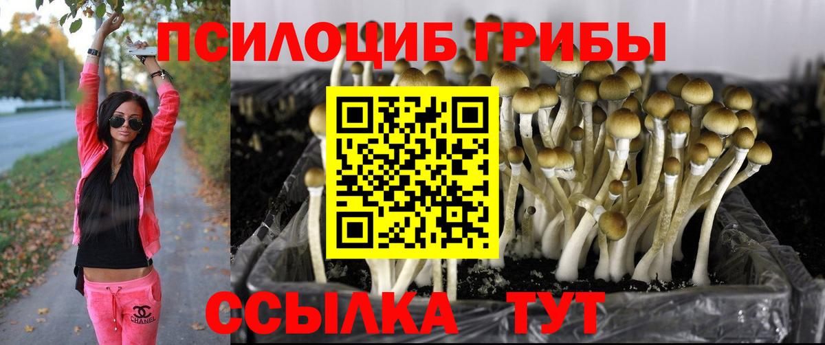 Галлюциногенные грибы GOLDEN TEACHER Верхний Уфалей
